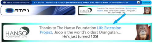 Hanso Foundation na RTP